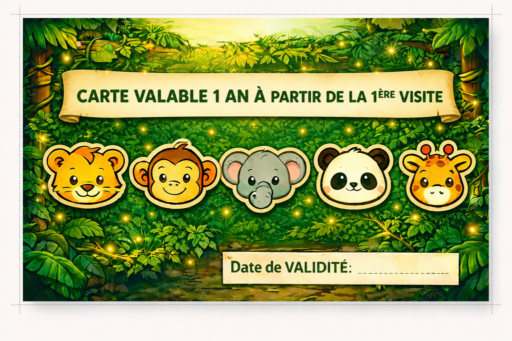 Carte Petit Girafon — 5 entrées Bambiniland (0-3 ans)